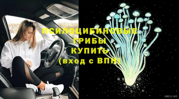 бошки Медвежьегорск