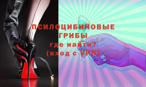 гидропоника Медногорск