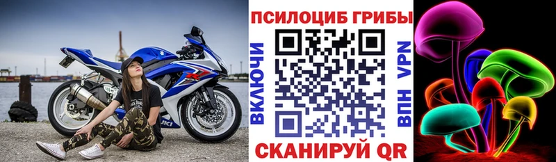 Псилоцибиновые грибы Cubensis  наркошоп  Поворино 